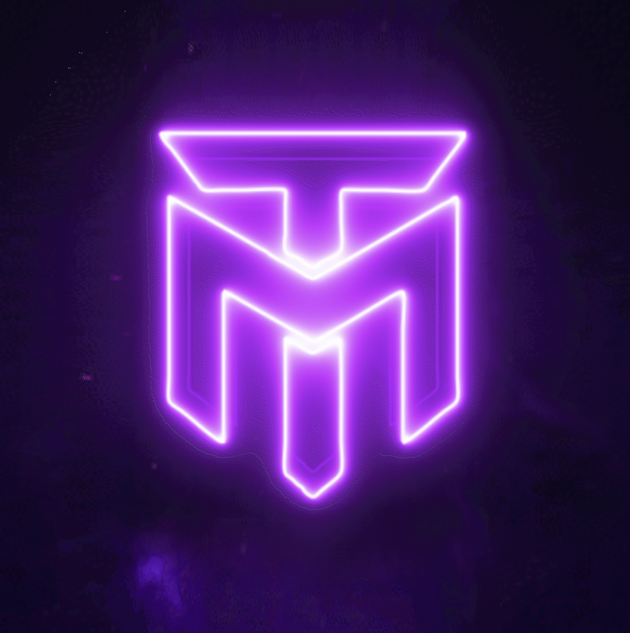 TikTok Mastery Premium