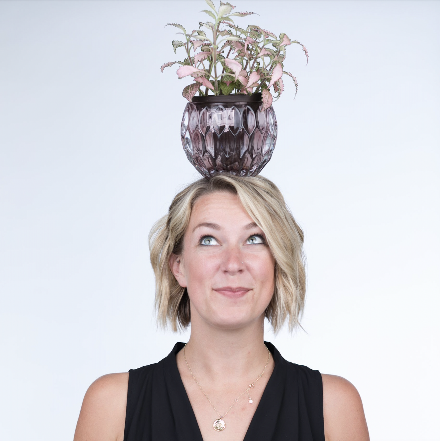 LinkedIn Basics Guide