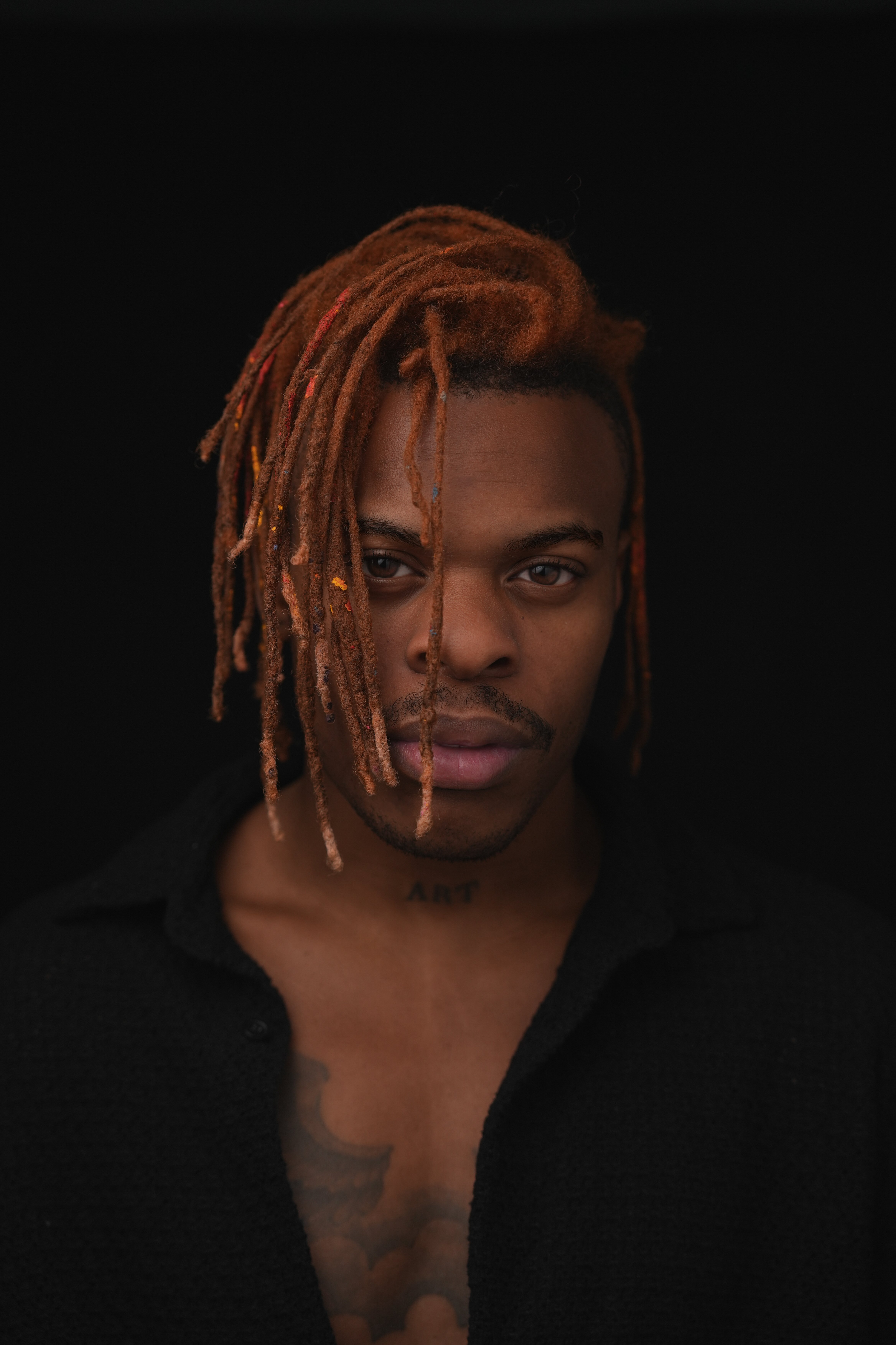 Starving Artist Millionaire