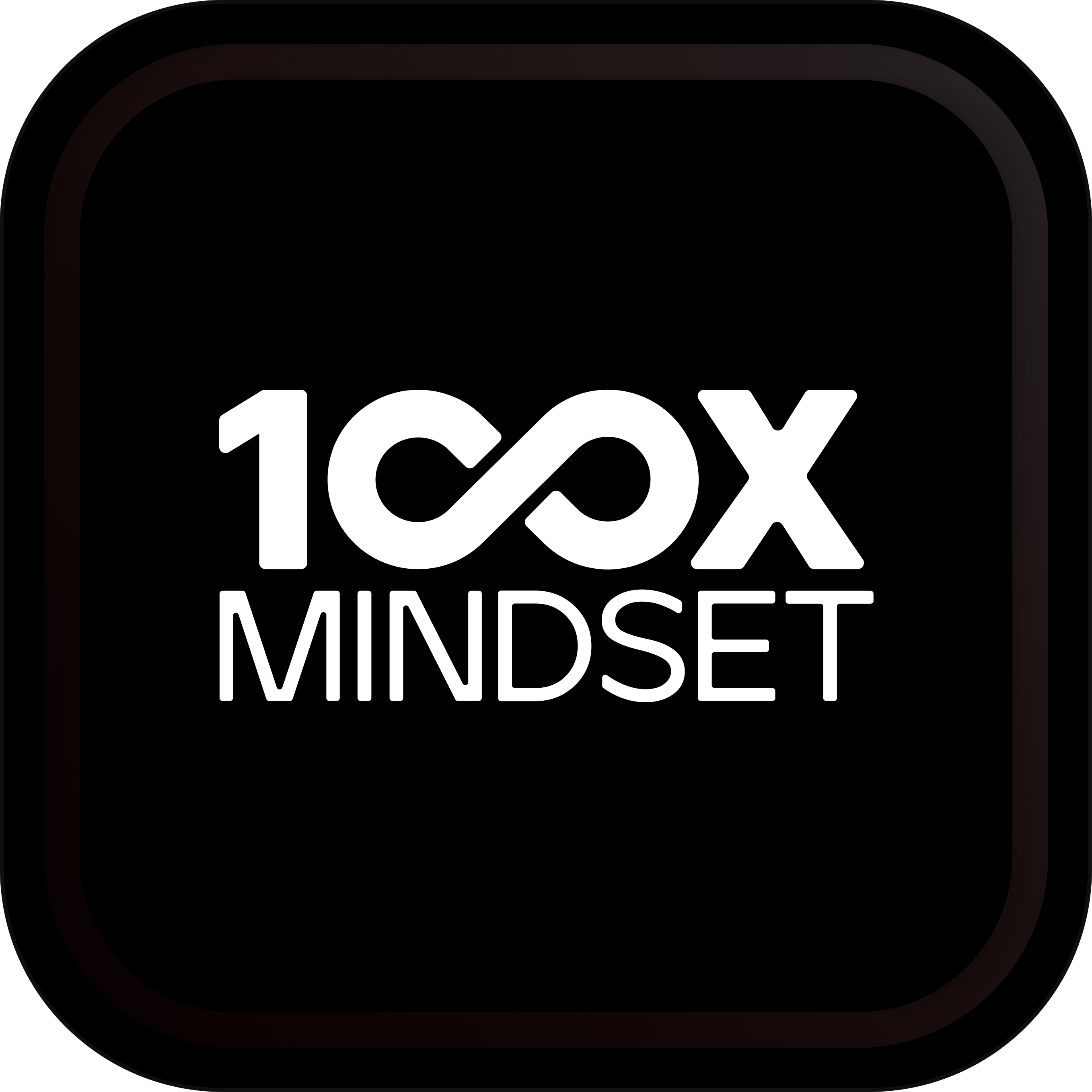 100X Mindset Mentorship