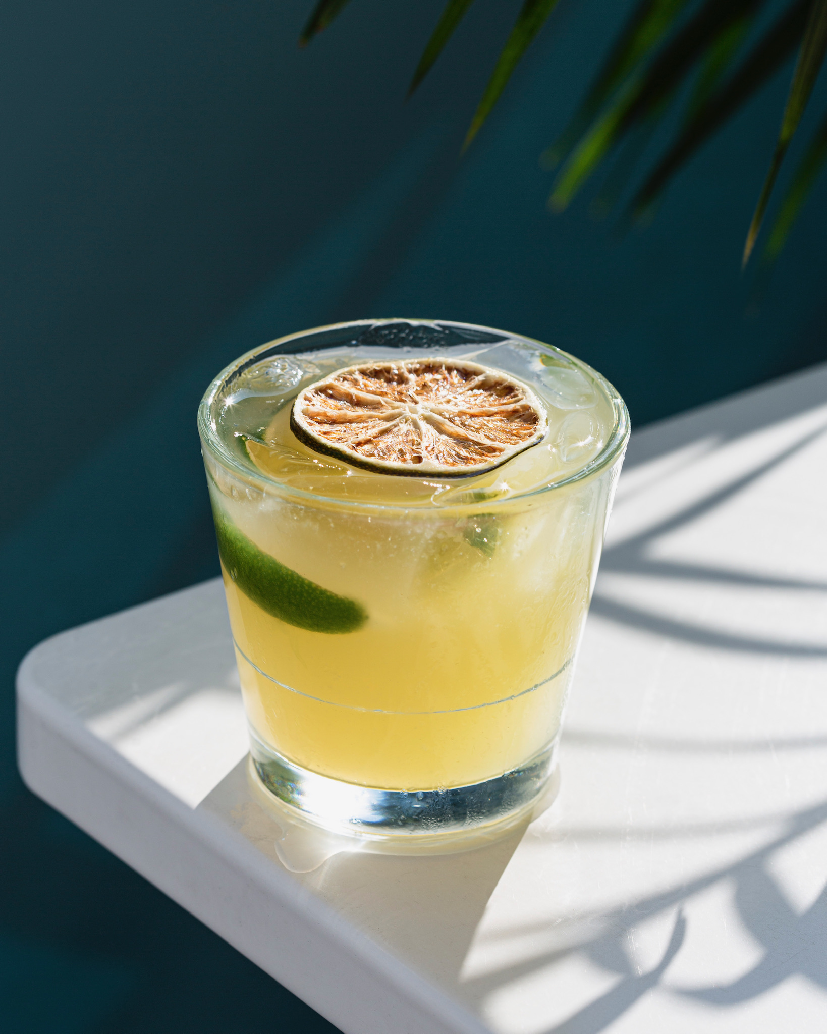 The Home Bartender's Lab