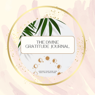 Manifestation Course