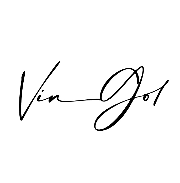 VIN GOL LLC