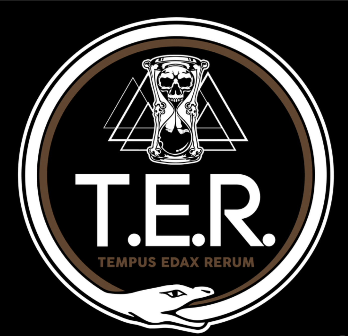 T.E.R. Private Mentorship