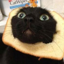 Amazon FBA - advanced course