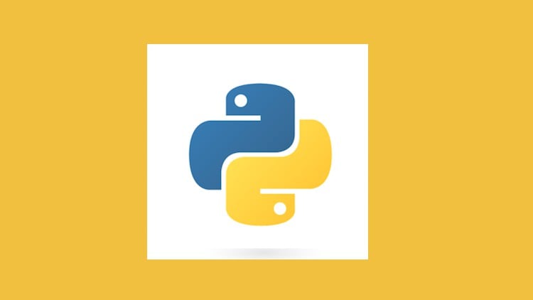 Python and Replit