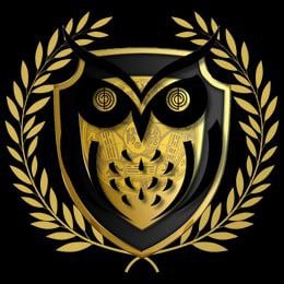 Luxe Mentorship Program