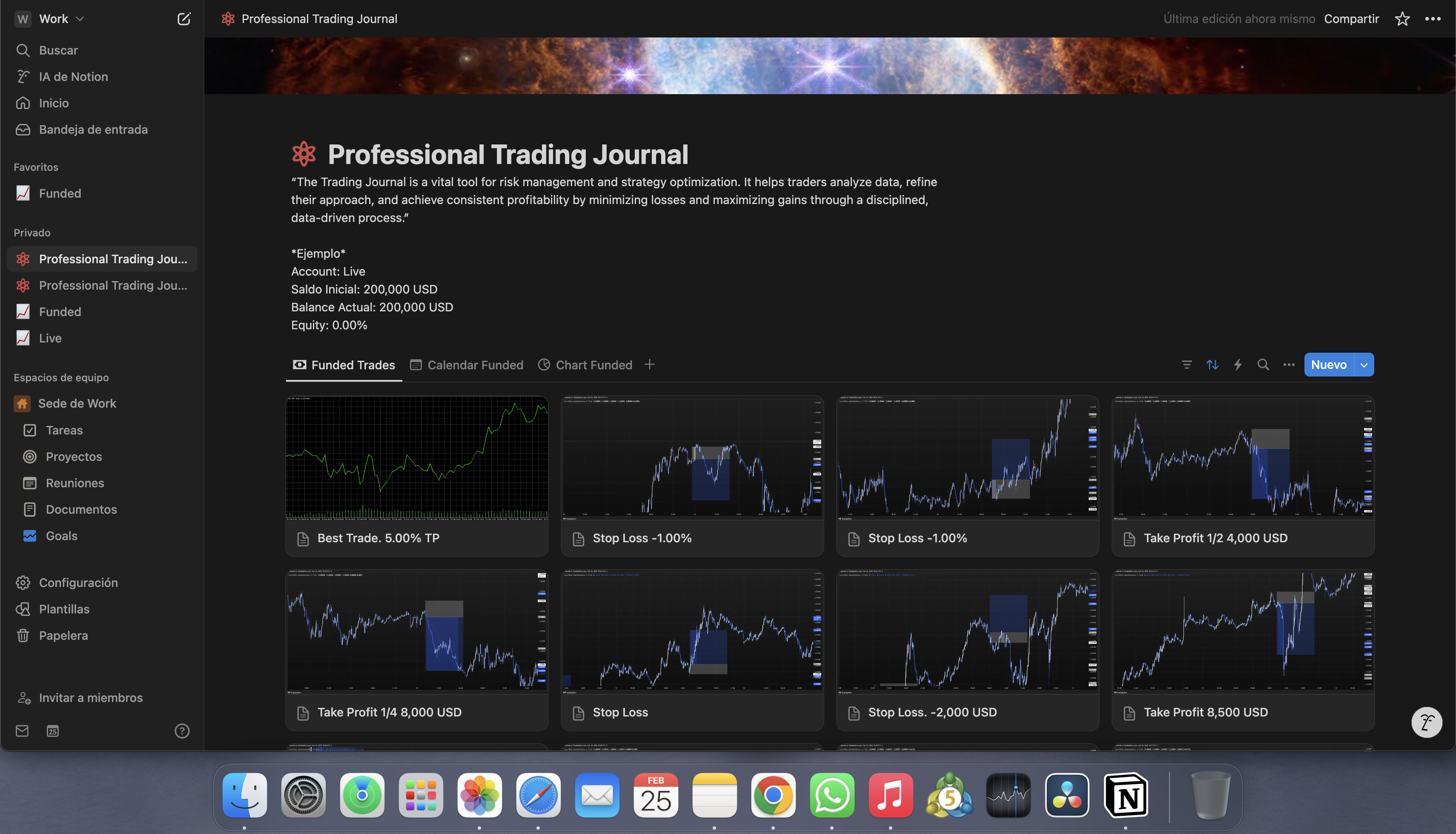 Professional Trading Journal