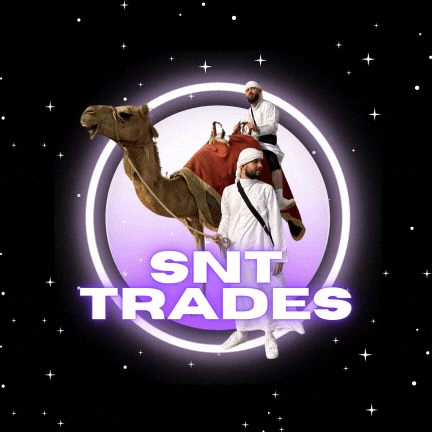 SNTTRADES NUR VIDEOKURS