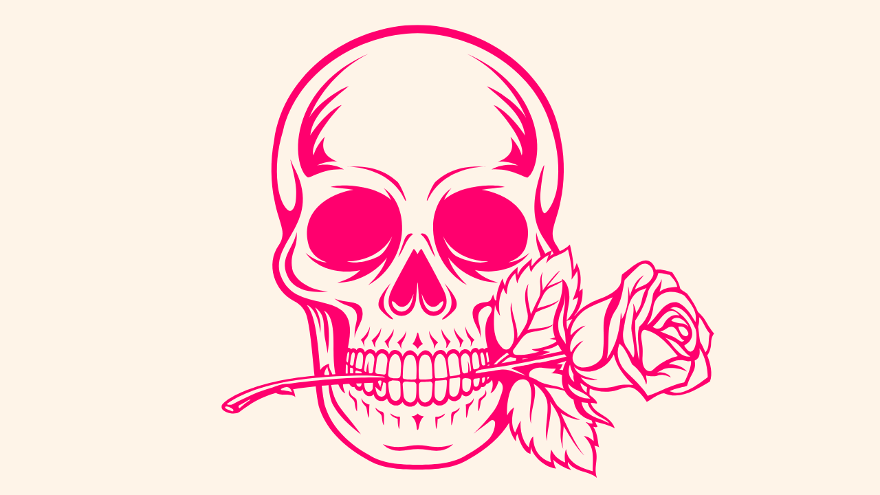 Top 1% DM Appointment Setter