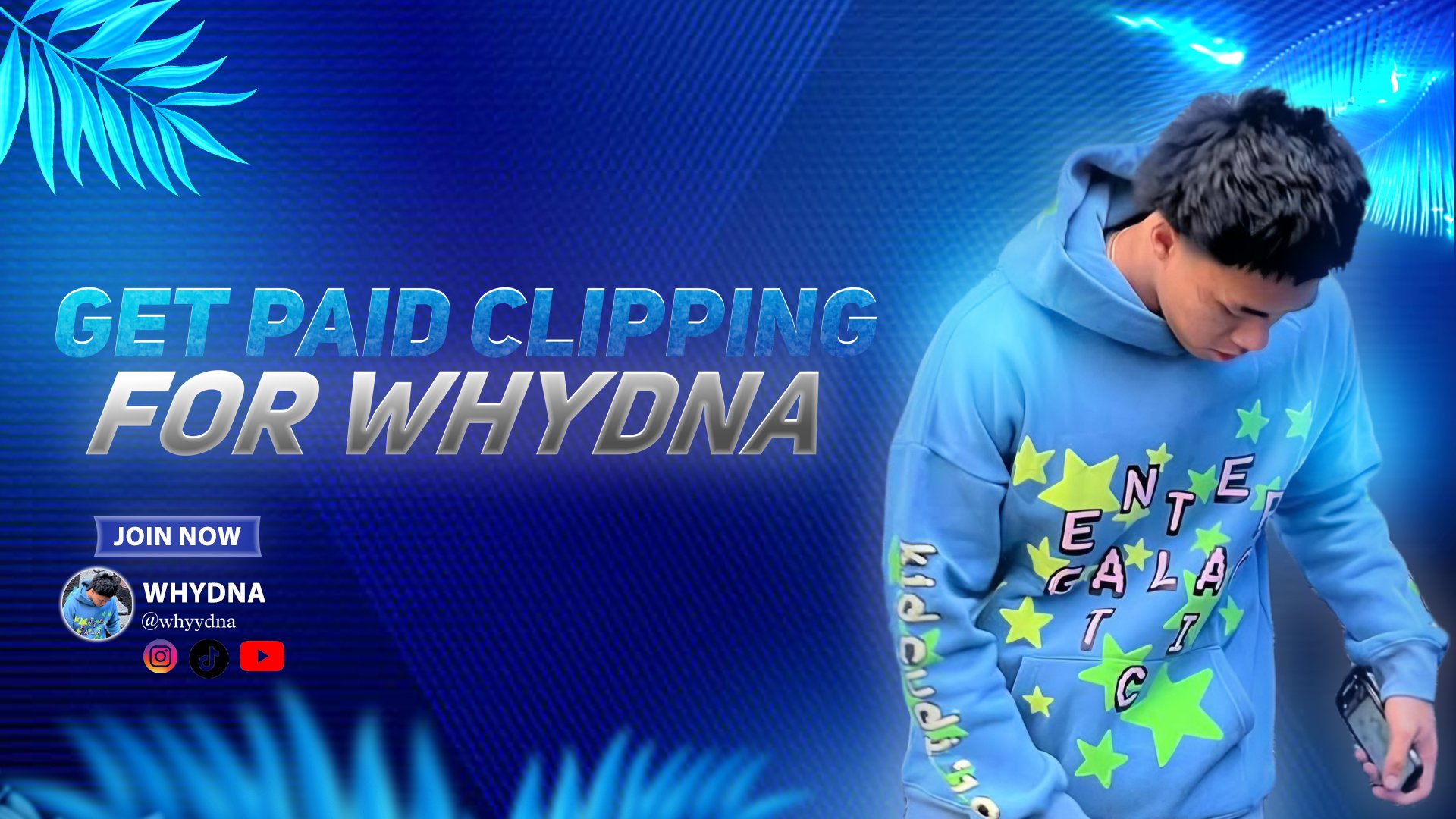 WhyDNA clips 