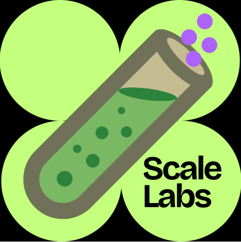 The Scale Lab 🧪