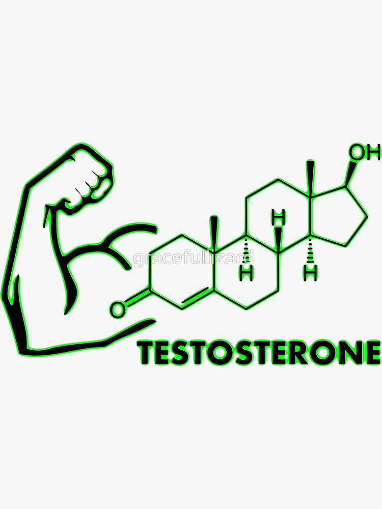 Boost your Testosterone 