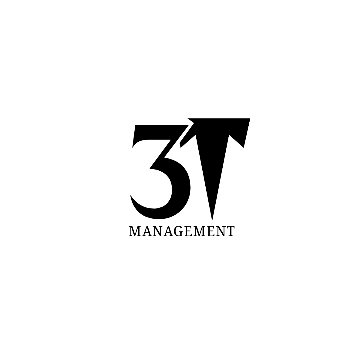 3T Management