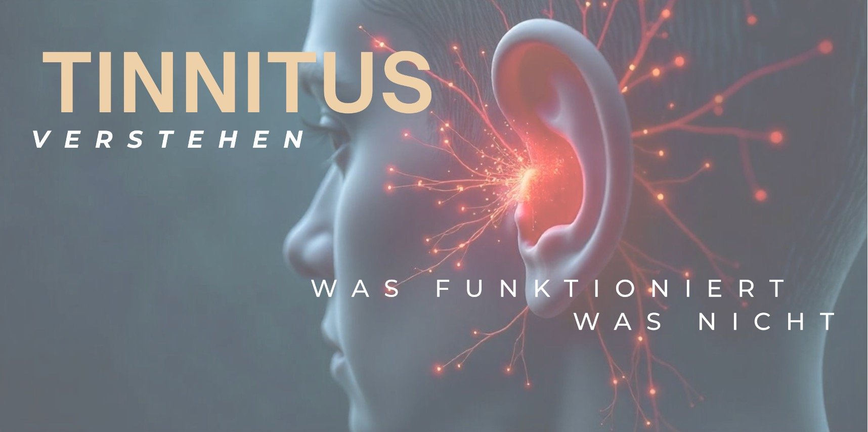 Tinnitus verstehen!