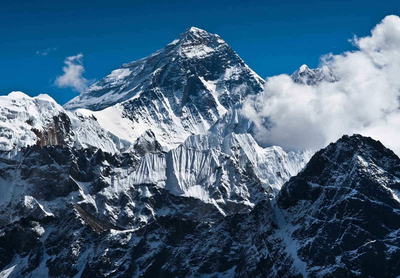The Everest Guide