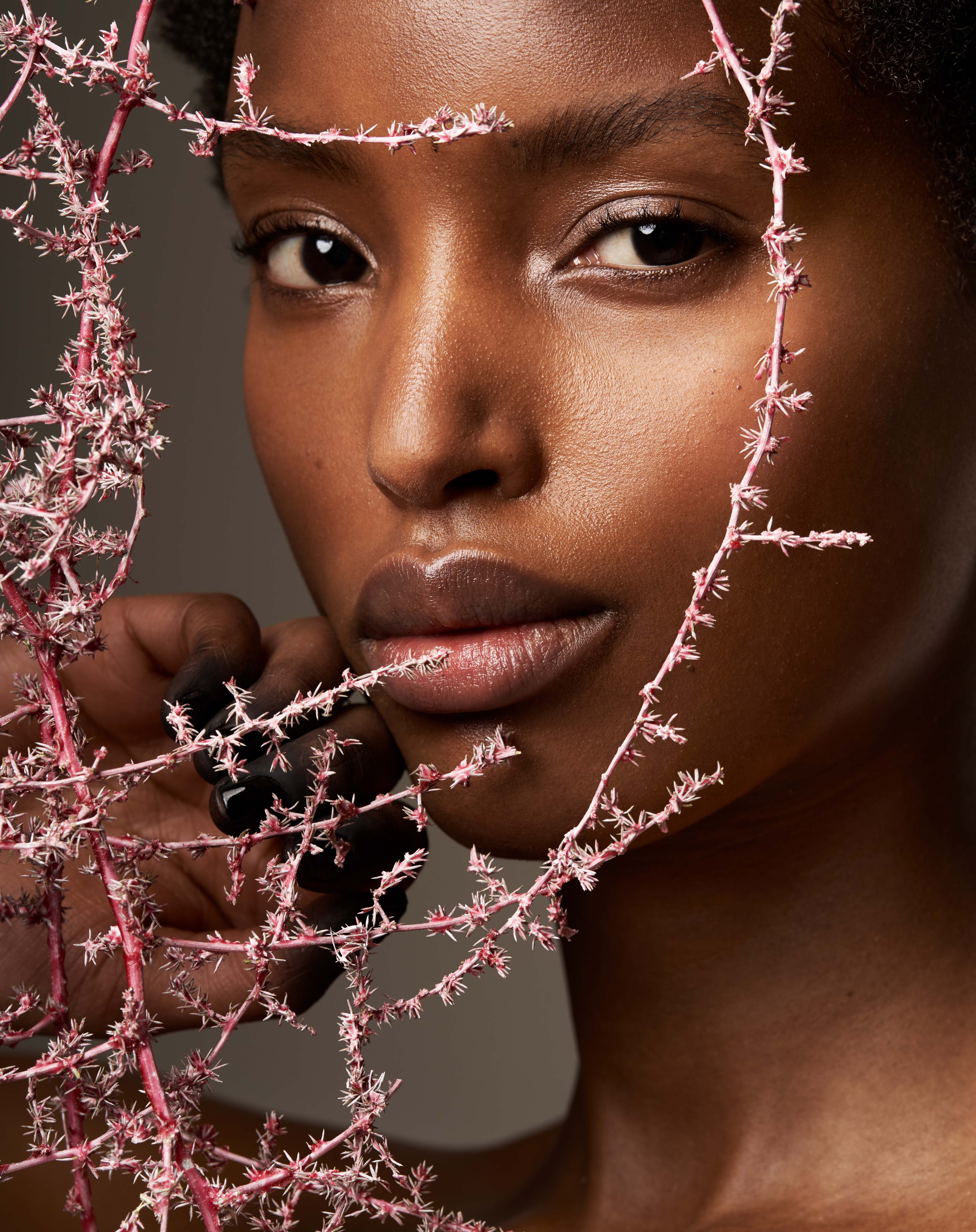 THE UNTAMED COSMETICS