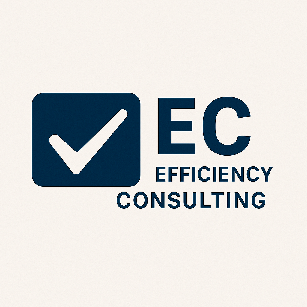 Efficiency Consulting