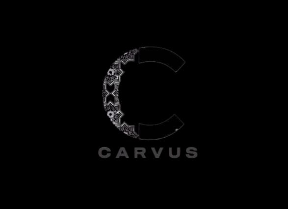 Study & See the World