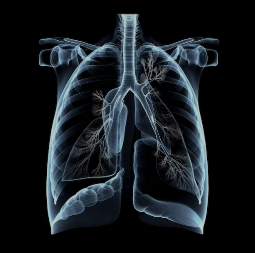 Breathe to Heal🌬️