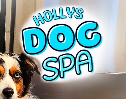 Hollys Dog Spa