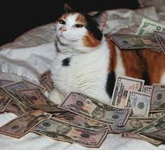 cashpurrrs