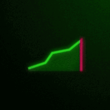 Educational Memecoins Academy