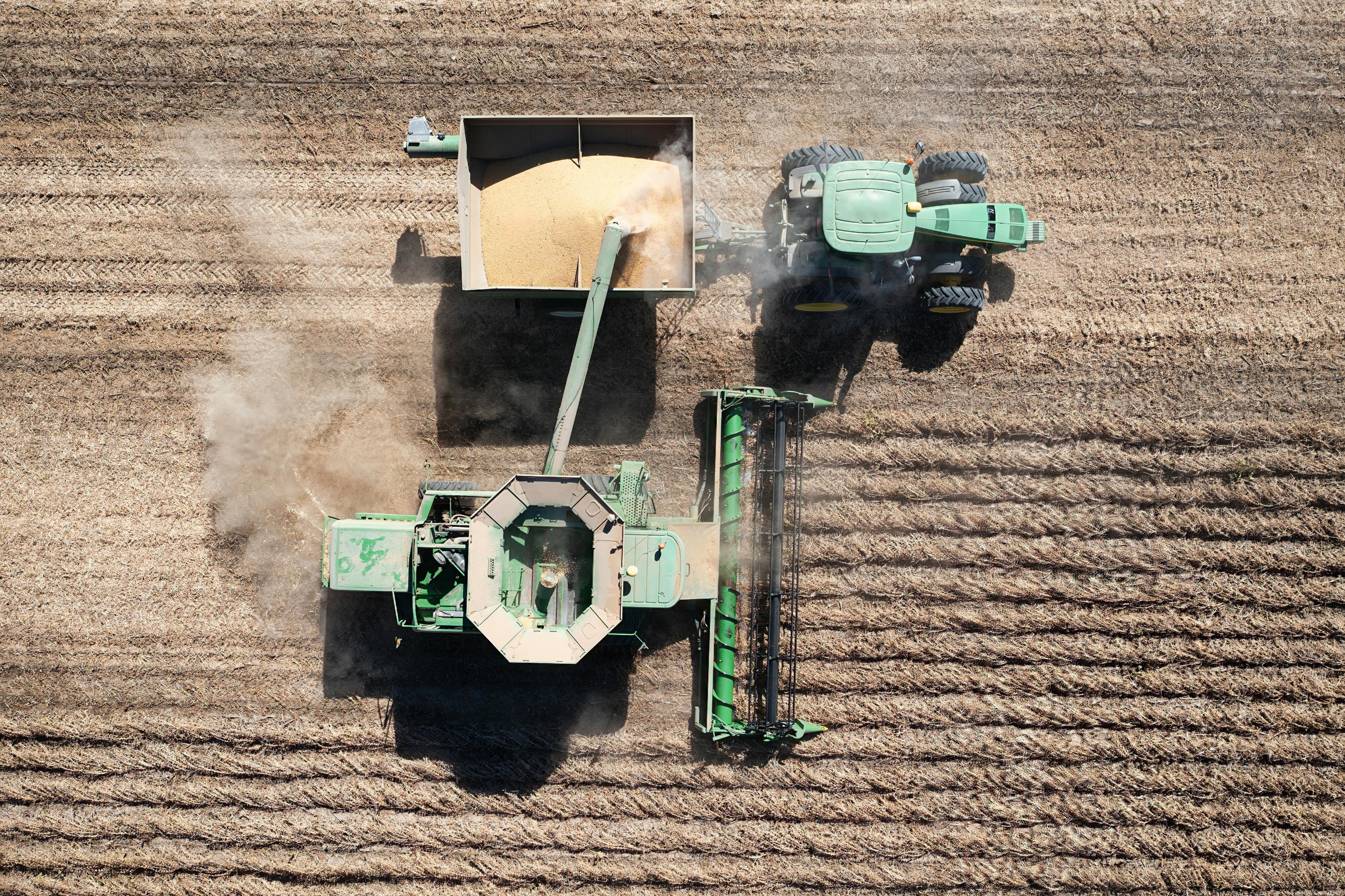 Farming Wheat & Corn