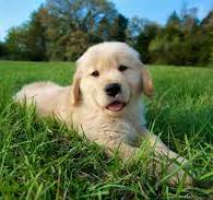 Savings for the family