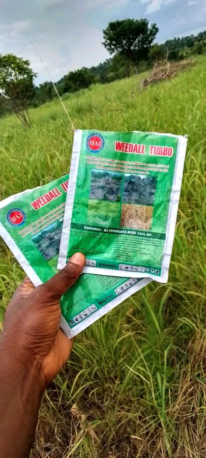 Virtual Fresh Veggies